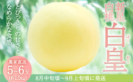 固めの 桃 2026年 先行予約 白桃 白皇 (はくおう) 5～6玉入り(約1.5kg) 贈答用 もも モモ 岡山県 赤磐市産 国産 フルーツ 果物 ギフト 