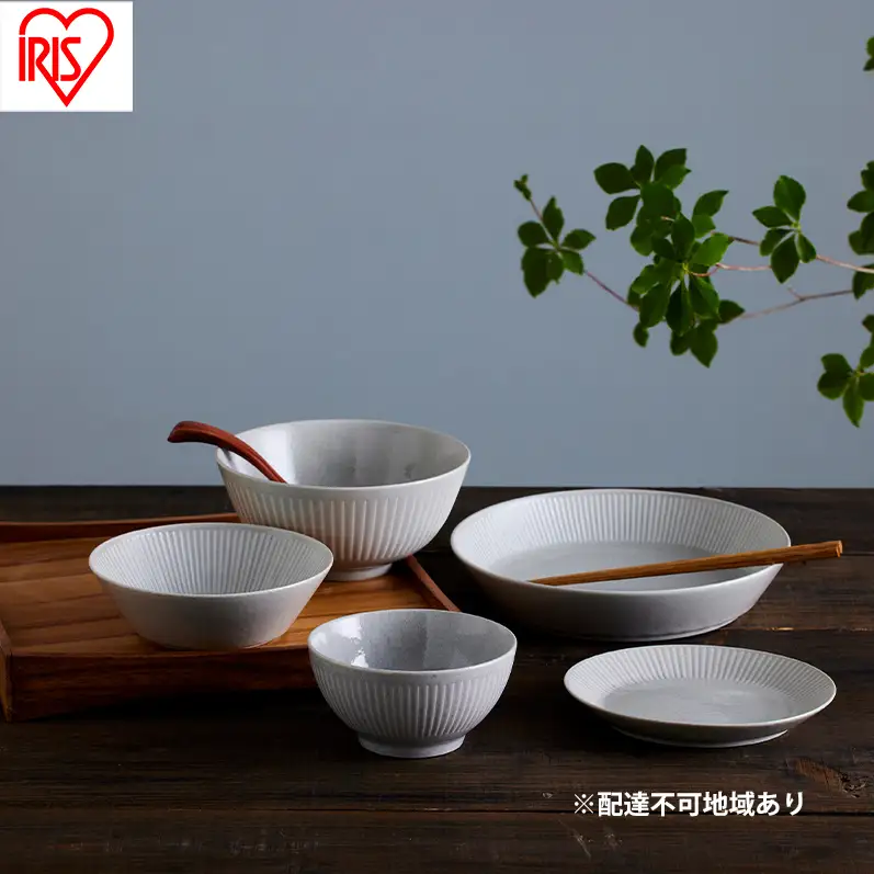 食器 5点セット MNW-5S グレー 電子レンジ 食洗器対応 磁器 新生活 アイリスオーヤマ 食器セット 