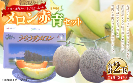 メロン 赤・青セット （1玉 約1.6kg） 果物 フルーツ めろん 2玉 詰め合わせ セット 赤肉 青肉 北海道 浦臼町 【2027年7月上旬～7月下旬発送予定】