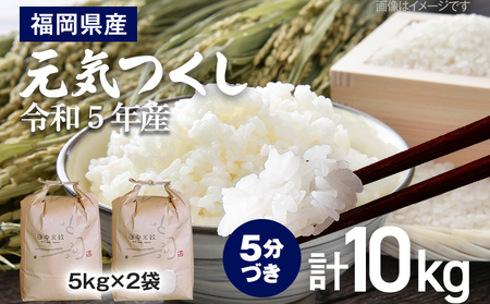 【令和5年産】 福岡県 大木町産 元気つくし 5分づき 10kg　(3～7分付米は玄米10kgより都度精米を行うため、お届け重量は10kg以下となります。詳細はページ内よりご確認ください)　BC02_5b