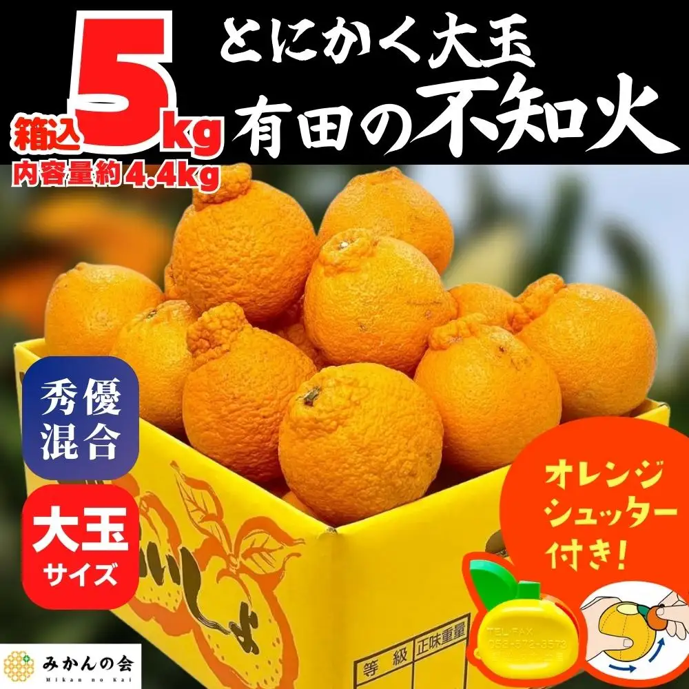 不知火 大玉 どっこいしょ 箱込 5kg (内容量約 4.4kg) 秀優混合 和歌山県産［みかんの会］