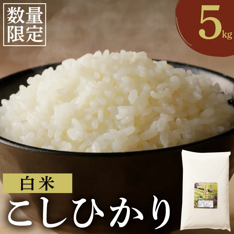 ≪都農町産≫新米コシヒカリ(5kg) 米 お米 ご飯 国産_T031-0015