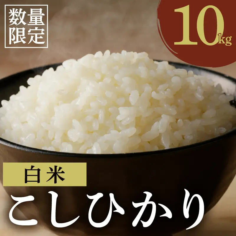 ≪都農町産≫新米コシヒカリ(計10kg) 米 お米 ご飯 国産_T031-0025【人気 ご飯 お米 ギフト 産米 お米 食品 お米 精米 白米 新米 こしひかり 有洗米 米飯 こめ 米 飯米 ライス 米 ごはん おにぎり おむすび 米 お漬物  お弁当 特産品 お米 米穀 地域の品 お米 ライス 米 宮崎県産 お米 都農町 お米  令和8年産 お米】