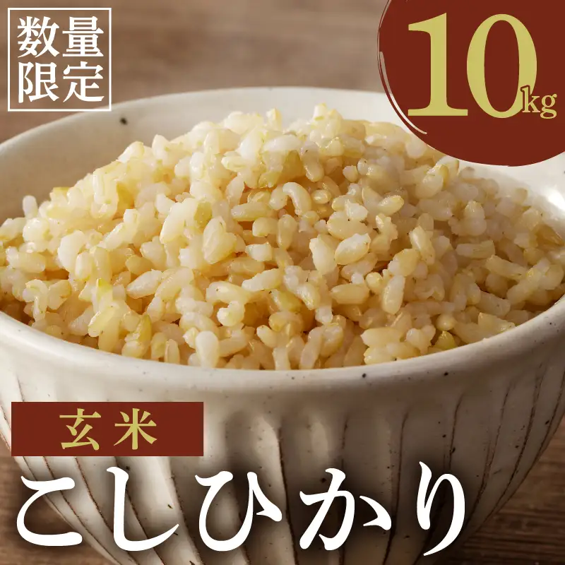 ≪都農町産≫新米コシヒカリ(玄米)計10kg 米 お米 ご飯 国産_T031-0045【人気 米 ギフト 米 食品 米 精米 白米 こしひかり 有洗米  こめ ライス ごはん おにぎり おむすび お漬物  お弁当 特産品 米 地域の品 米 宮崎県産 米 都農町 米  令和8年産 米】