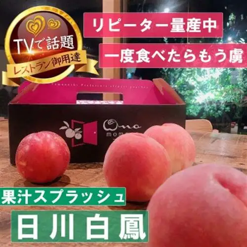 2027年発送先行受付【果汁スプラッシュ日川白鳳】人気品種指定ギフト5年連続TV出演話題ブランド桃【配送不可地域：離島・北海道・沖縄県・中国・四国・九州】【1465184】