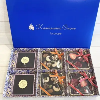 チョコレート 酵素 フルーツ酵素ショコラ 6個入り