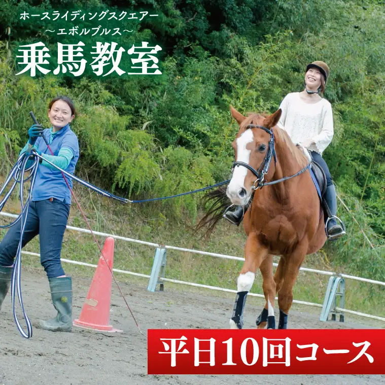28-03 乗馬チケット 平日 10回 コース ホースライディングスクエア エボルブルス【乗馬 チケット 回数券 茨城県 阿見町】