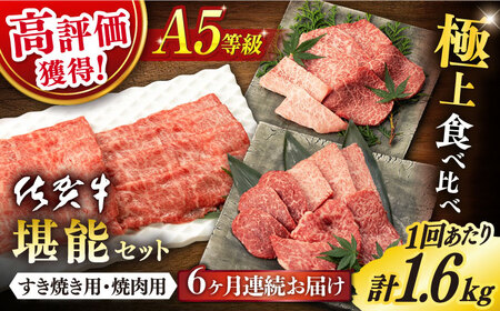 【定期便】 佐賀牛 堪能セット 計9.6kg NAB100 佐賀牛 全6回