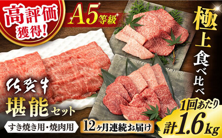 【定期便】 佐賀牛 堪能セット 計19.2kg NAB101 佐賀牛 全12回