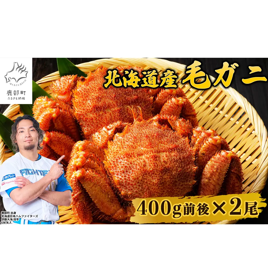 【順次発送】北海道産 ボイル毛ガニ 約800g（400g前後×2尾）蟹 カニ 冷凍 