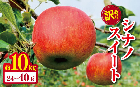 訳あり シナノスイート 約 10kg 24玉 ～40玉 【2026年先行予約】 ｜ やまし平林農園