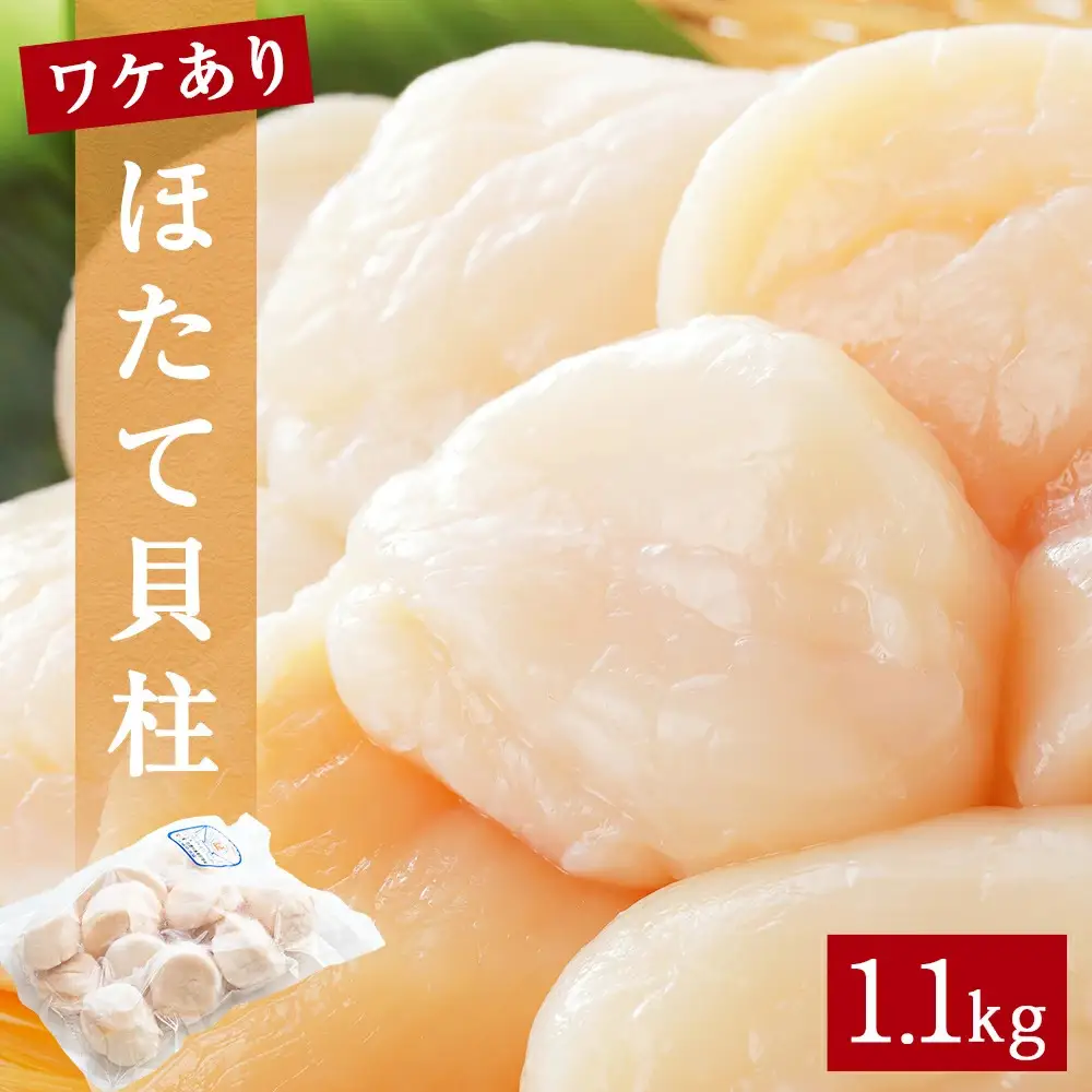 【先行予約】ほたて ＜訳あり＞ 貝柱 1.1kg 加熱用 帆立 ホタテ 石巻市
