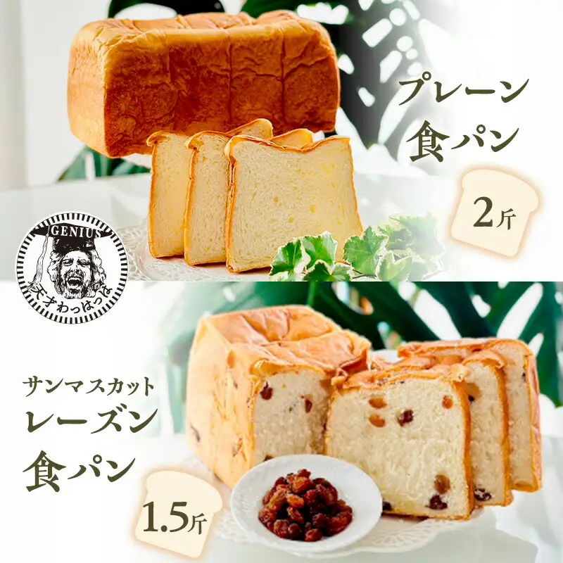 【ふるさと納税】 プレーン 食パン 2斤 ＆ サンマスカット レーズン 食パン 1.5斤 パン ぱん 食パン ブレッド おいしい 朝食 朝ごはん 朝  数量限定 訳あり ふるさと納税 ふるさと 人気 おすすめ 送料無料 兵庫県 三田市