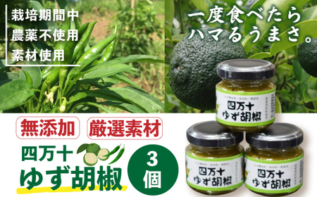 39210-150-0003．四万十ゆず胡椒3個セット