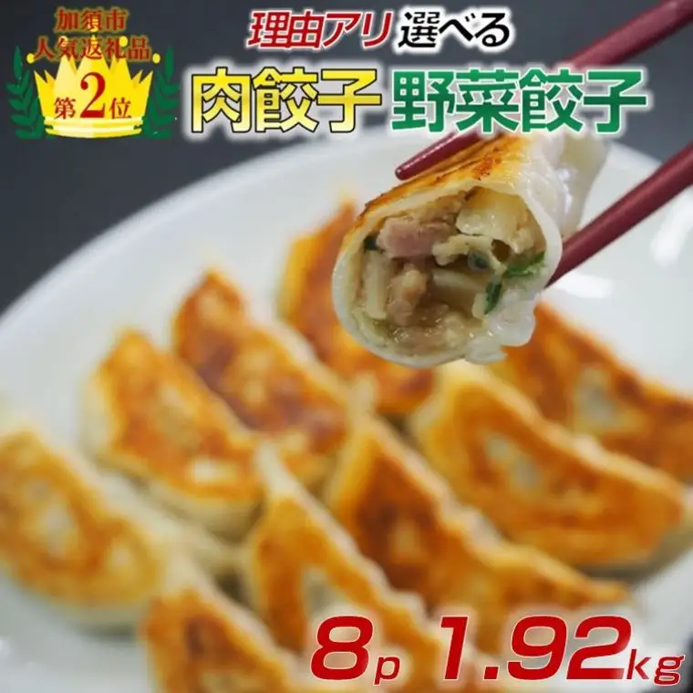 訳あり 食べ比べ餃子セット（冷凍　肉・野菜餃子）：8パック 中華