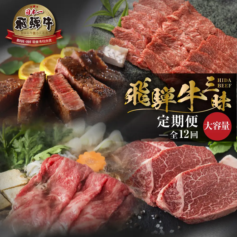 大容量 《まるごと定期便》12回 飛騨牛三昧 大容量 [S600]