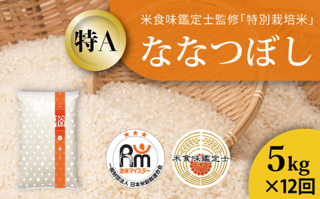 【令和7年産】【定期便】特別栽培米ななつぼし 5kg×12回 北海道当麻町 舟山農産 減農薬 低農薬【AB-032】