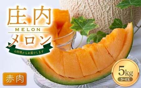 【2027年先行予約】庄内メロン赤肉 3～4玉 5kg FSY-1020