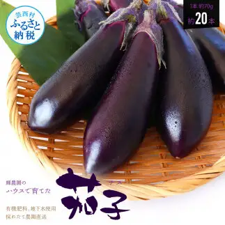 【先行予約】茄子（1本約70g）約20本入り 