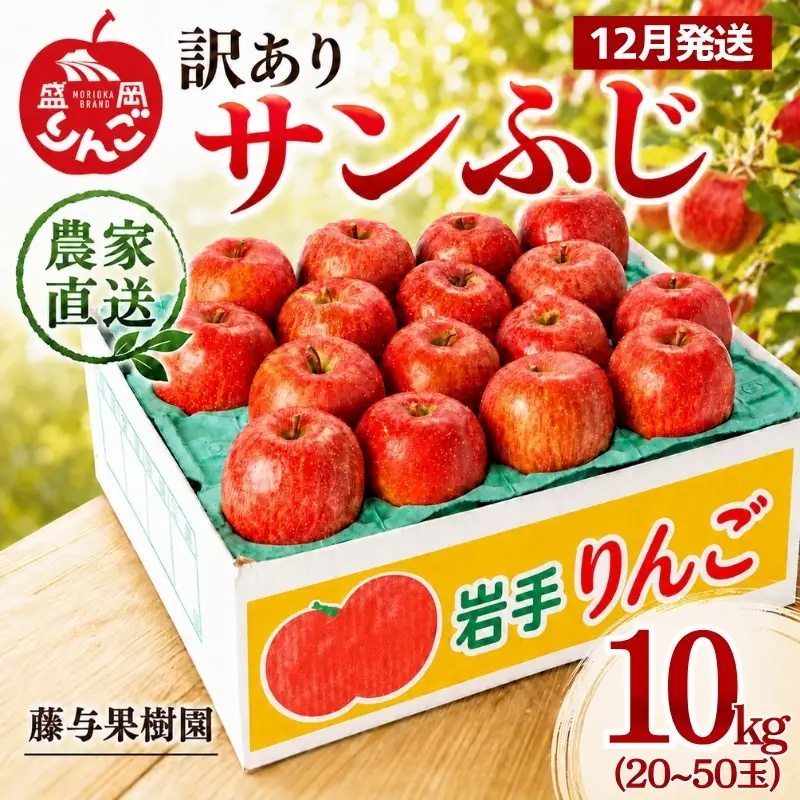 【12月発送】訳ありサンふじ10kg りんご 藤与果樹園 サンふじ fujiyo003f