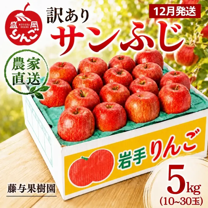 【12月発送】訳あり サンふじ 5kg りんご 藤与果樹園 サンふじ fujiyo002f