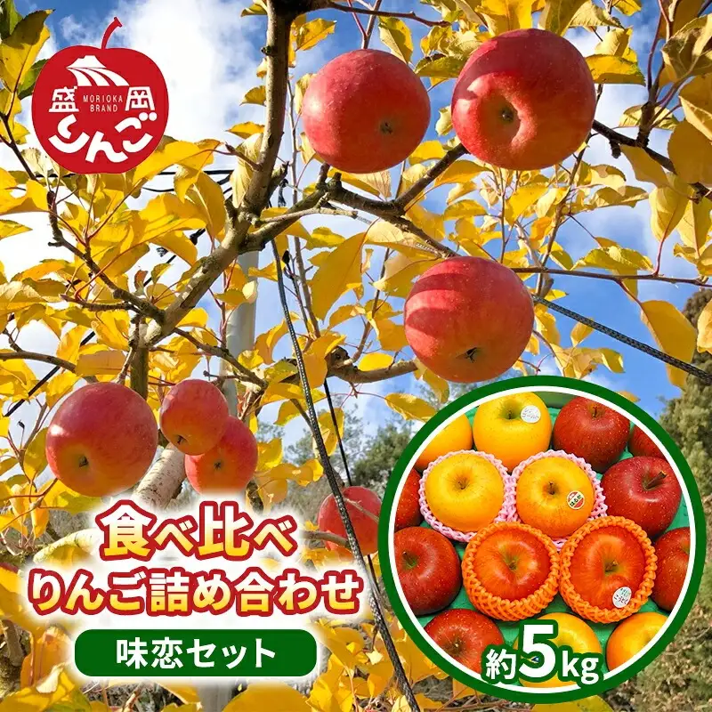 【先行予約】味恋セット 盛岡りんご 詰め合わせ 5種 5kg 12月発送 朝島観光りんご園 asashima005  りんご