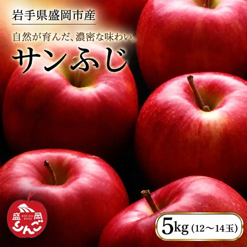 【先行予約】サンふじ 完熟 りんご 5kg 12月発送 朝島観光りんご園 asashima007