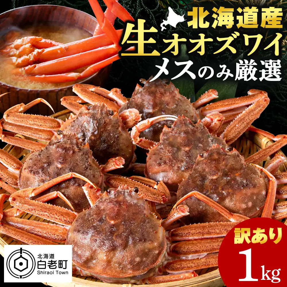 北海道産 生オオズワイガニ メス 1kg （加熱用） 〈斉藤水産〉 AM158