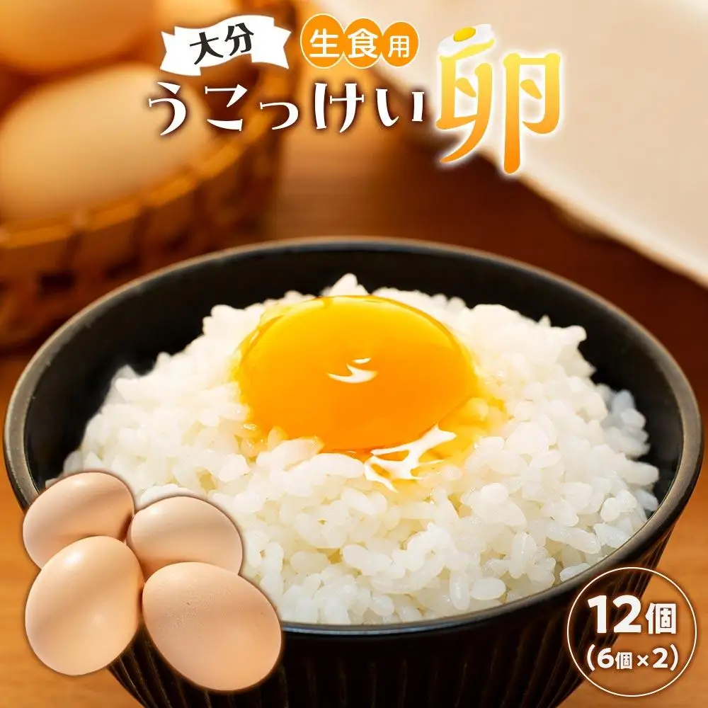 大分うこっけい卵　生食用12個（6個×2パック）＜お試しサイズ／使い切りにぴったり！＞ | 卵 烏骨鶏