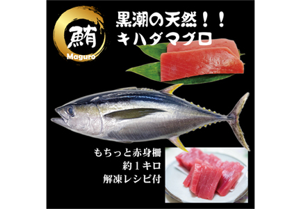 天然 キハダマグロ 赤身 柵 約1kg (2-4柵) 刺身 海鮮 簡単調理 大容量  鮮度抜群