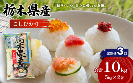 【定期便3回】栃木県産 こしひかり 10kg×3回 真岡市 栃木県 送料無料