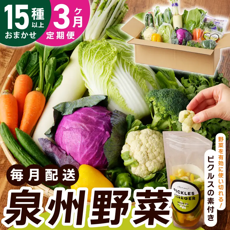 旬の新鮮 野菜セット（15種以上）定期便 全3回 おまかせ ピクルスの素付き ファミリー向け いずみピクルス NSW【毎月配送コース】