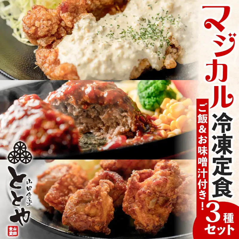 マジカル冷凍定食 3種セット K258-001 惣菜 総菜 冷凍 ハンバーグ