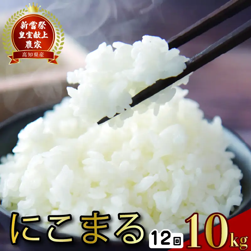 【令和7年産】 米 定期便 10kg×12回 にこまる 米 AS002