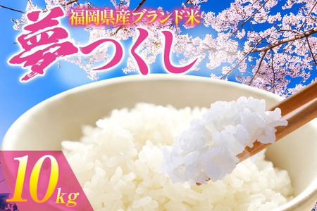 令和6年度産 福岡県産 夢つくし 10kg 1袋 白米 お米 ご飯 米 精米 送料無料 お取り寄せグルメ お取り寄せ 福岡 お土産 九州 福岡土産 取り寄せ グルメ 福岡県