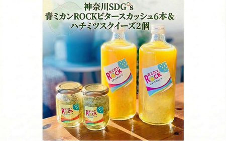 神奈川SDG's　青ミカンROCKビタースカッシュ6本＆ハチミツスクイーズ2個　【逗子市・平塚市　共通返礼品】 加工食品 果汁飲料 野菜飲料 みかんジュース ジュース ハチミツ漬け SDG's食品 