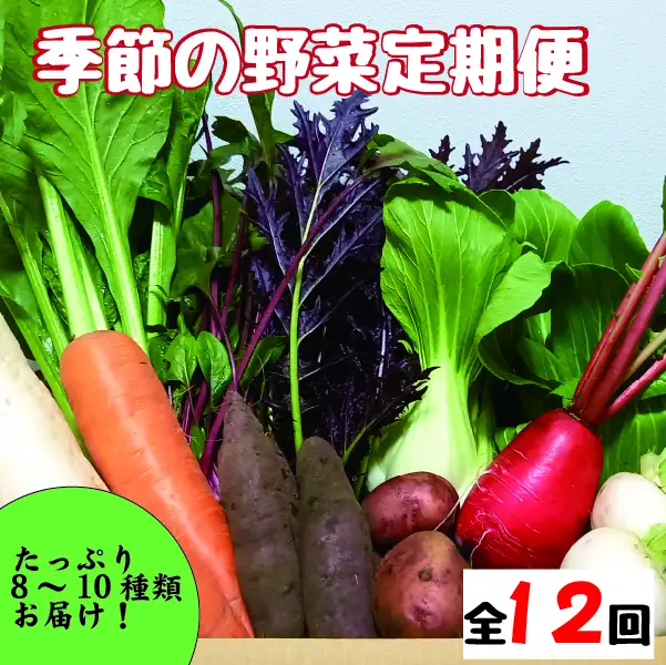 【野菜の定期便】こばやし季節の野菜詰め合わせセット　全12回（ 野菜セット 季節野菜セット 新鮮野菜セット 旬野菜セット 定期便野菜セット ）