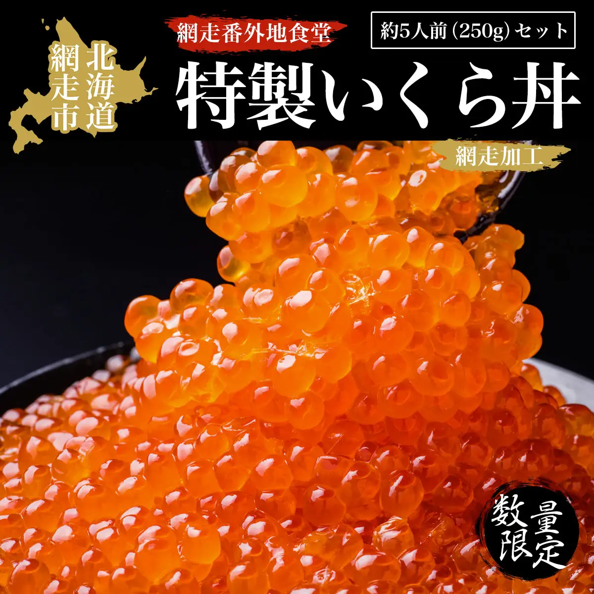 【数量限定】網走番外地食堂特製いくら丼約5人前セット（網走加工）【 ふるさと納税 人気 おすすめ ランキング いくら醤油漬 イクラ醤油漬 いくら醤油漬け イクラ醤油漬け 鮭いくら 鮭イクラ 鮭 鮭卵 いくら 醤油鮭いくら 醤油鮭イクラ 人気 さけ サケ いくら丼 イクラ丼 海鮮 新鮮 5人前 鮭卵  250g 冷凍 オホーツク 北海道 網走市 送料無料 】 ABAO2091