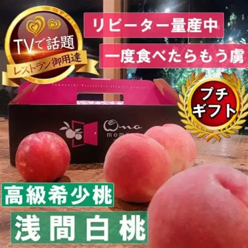2027年発送先行受付【市場にほぼ出回らない浅間白桃】人気品種指定ギフト5年連続TV出演話題ブランド【配送不可地域：離島・北海道・沖縄県・中国・四国・九州】【1465254】