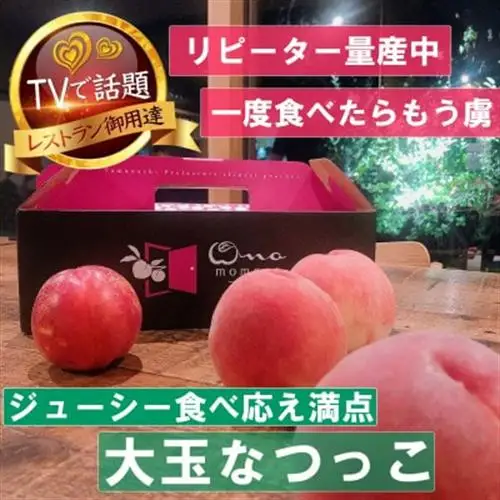 【大玉ジューシーなつっこ】人気品種指定ギフト5連続TV出演話題ブランド【2027年発送先行受付】【配送不可地域：離島・北海道・沖縄県・中国・四国・九州】【1465280】