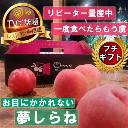2027年発送先行受付【滅多にお目にかかれない夢しらね】人気品種指定ギフト5年連続TV出演ブランド【配送不可地域：離島・北海道・沖縄県・中国・四国・九州】【1465301】