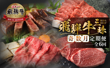 《まるごと定期便》6回 奇数月 厳選 お届け 飛騨牛 定期便 [S633]