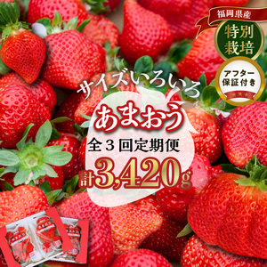 【定期便 3回】うるう農園の特別栽培あまおう サイズ色々4パック1140g×3回 _定期便 あまおう いちご 4パック 1140g × 3回 福岡県特産 小玉 特大 サイズ サイズ色々 国産 ストロべリー 果物 フルーツ スイーツ おやつ 冷蔵 特別栽培 有機質肥料 認証 うるう農園 久留米市 お取り寄せ 送料無料 〔Tk006〕