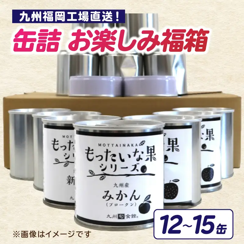 九州福岡工場直送！訳あり缶詰お楽しみ福箱 007-025