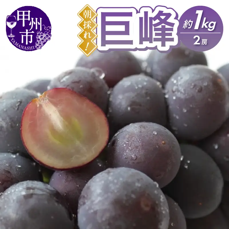 甲州市産 朝採れ！巨峰 約1kg（2房）【2026年発送】（RC）B-439 巨峰 フルーツ