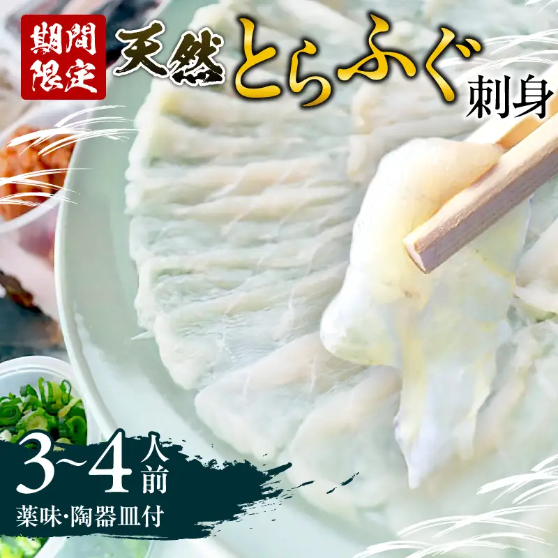 ＜期間限定＞ 天然とらふぐ 刺身 3～4人前_B149-002