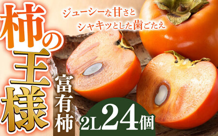 富有柿 2Ｌ 24個【2025年11月発送】 柿の王様 カキ 果物 岐阜市/JAぎふ [ANAS015]
