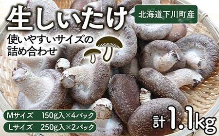 生しいたけ【使いやすいサイズの詰め合わせ】1,1kg Mサイズ(150g×4パック) Lサイズ(250g×2パック) F4G-0013
