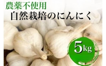 にんにく 5kg かたもとオーガニックファーム ニンニク