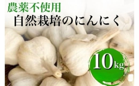 にんにく 10kg かたもとオーガニックファーム ニンニク